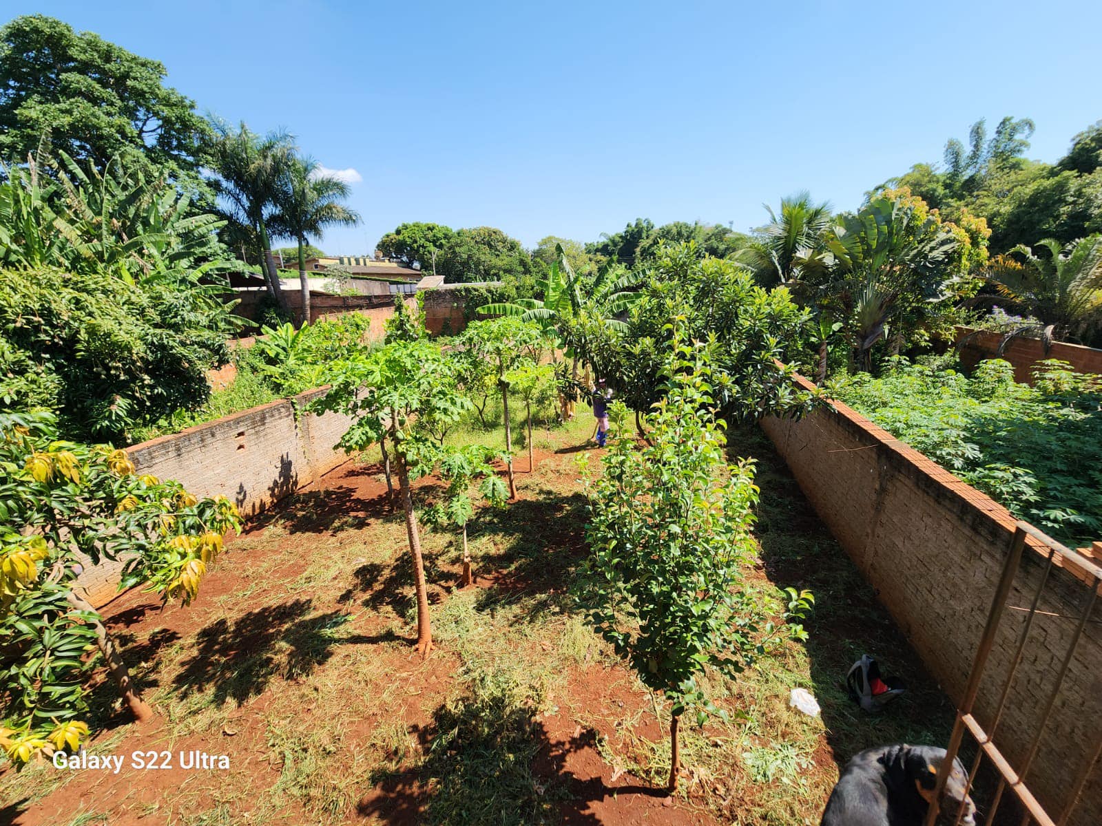 Casa Avenida Armando Penteado, n737- Centro