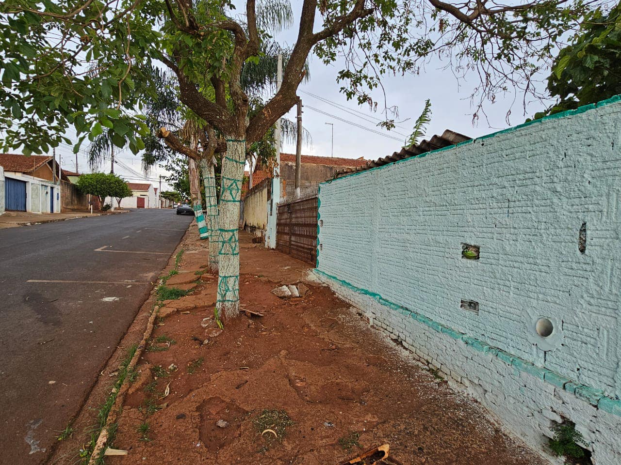 Casa Rua Antônio Cassiano, n205-Jardim das Palmeiras