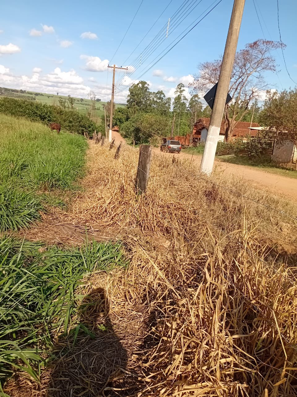 DOIS TERRENOS EM SÃO PEDRO DOS MORRINHOS