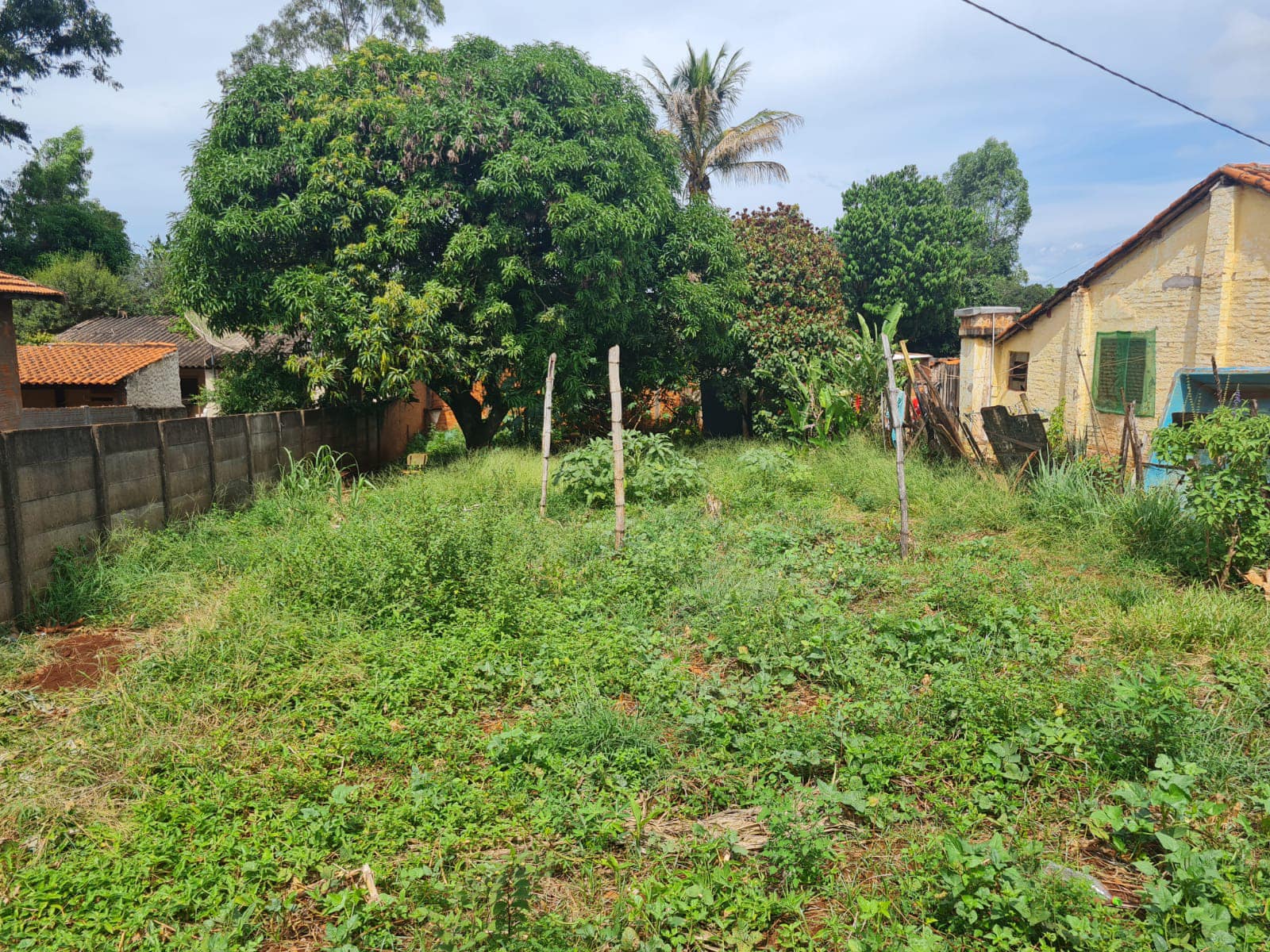 Terreno Avenida Paulista, n 100- Vila Andrade