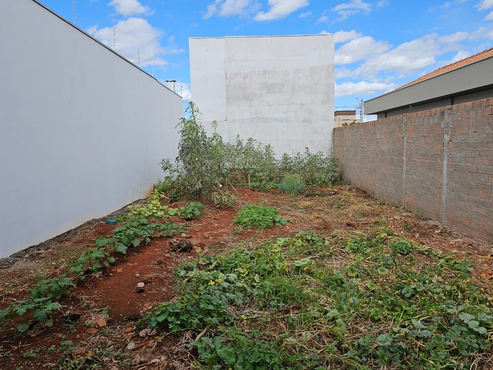 Terreno Rua Ceará, n278, Lote 19 da quadra 11- Parque Varotti