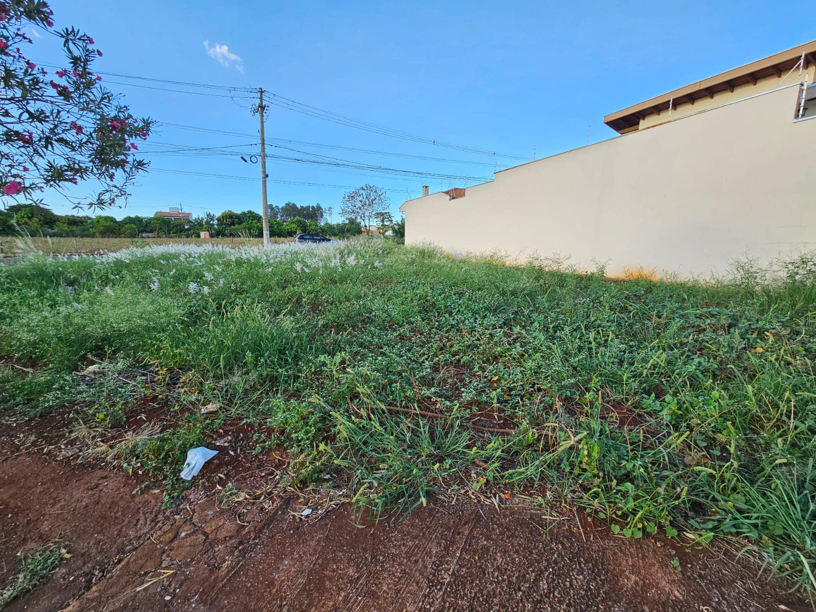 Terreno Rua Amazonas, n 40, Lote 01 da quadra 06- Parque Varotti