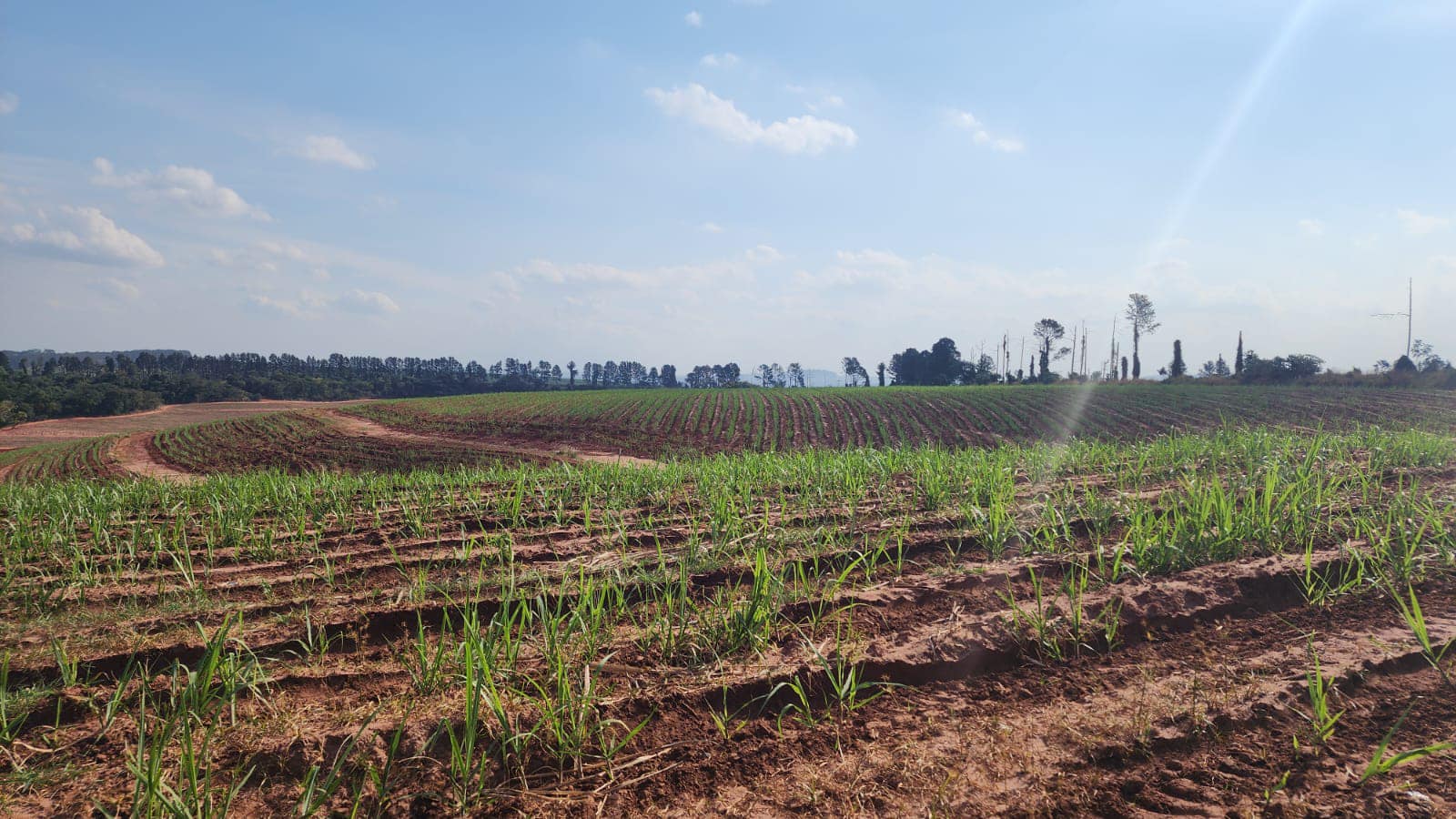 GLEBA DE TERRA Sítio Ponte Alta , cidade de Casa Branca