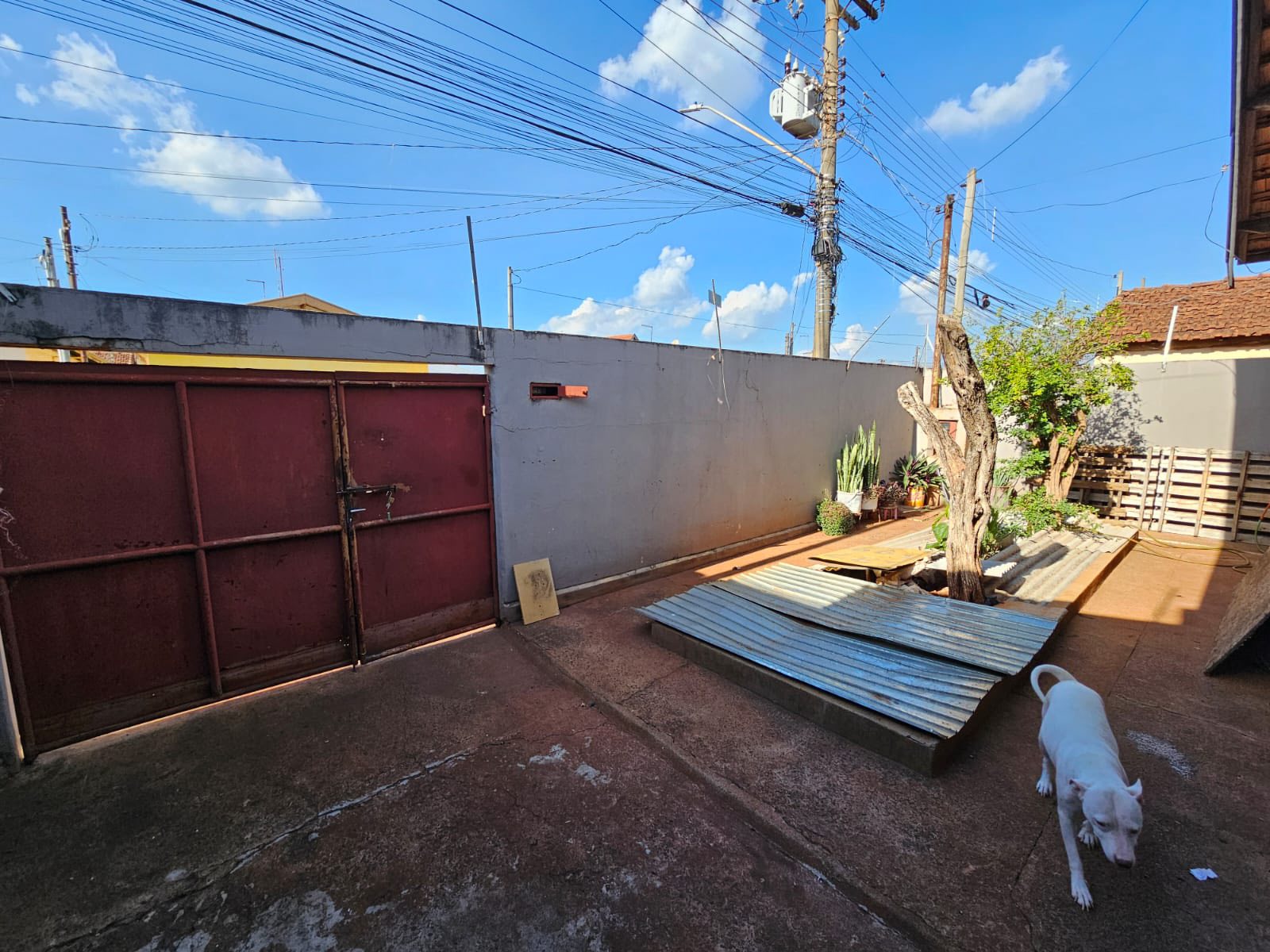 Casa na Rua Dr Brito Pereira ,n960- Jardim Brasil