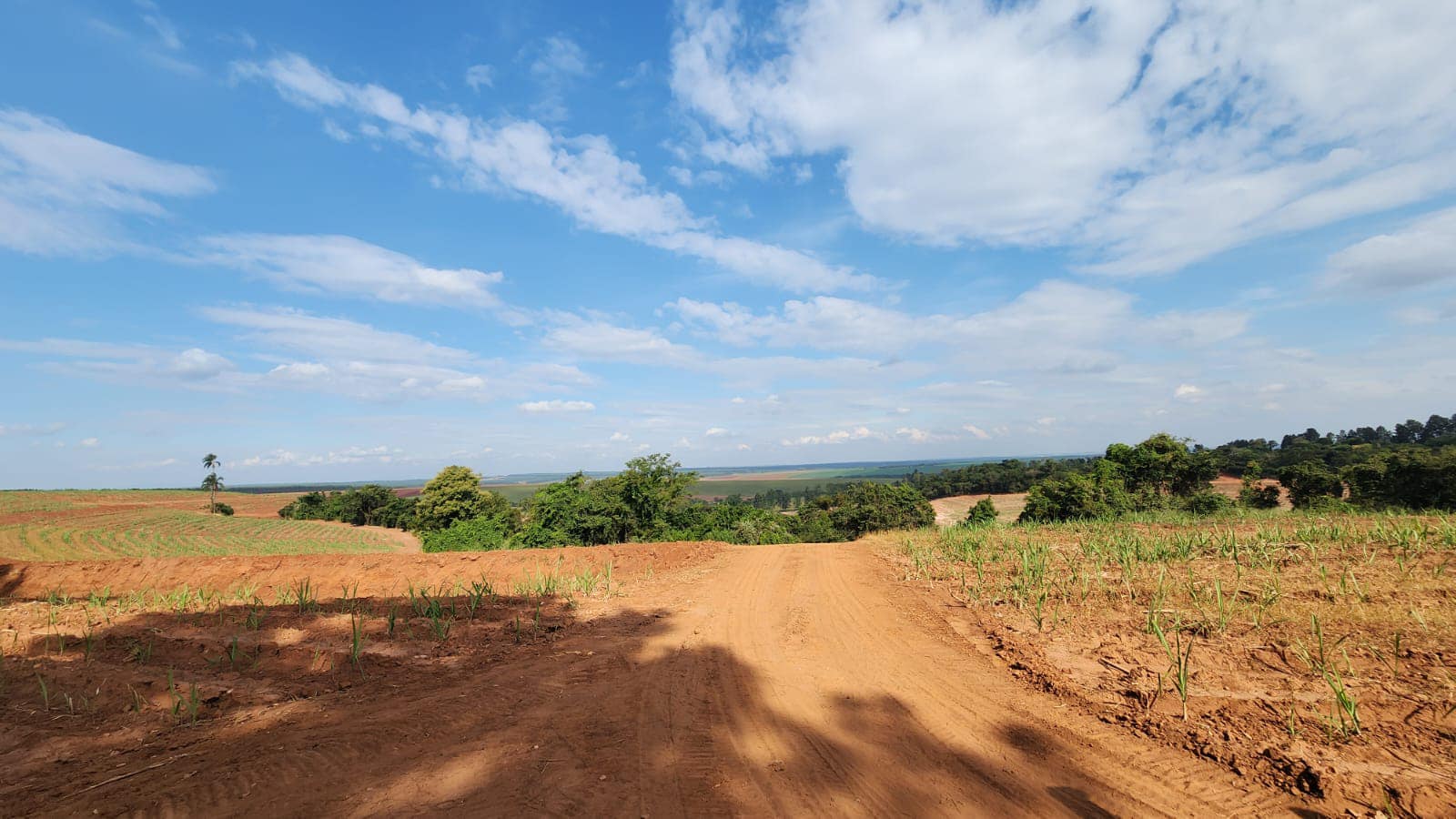 GLEBA DE TERRA Sítio Ponte Alta , cidade de Casa Branca