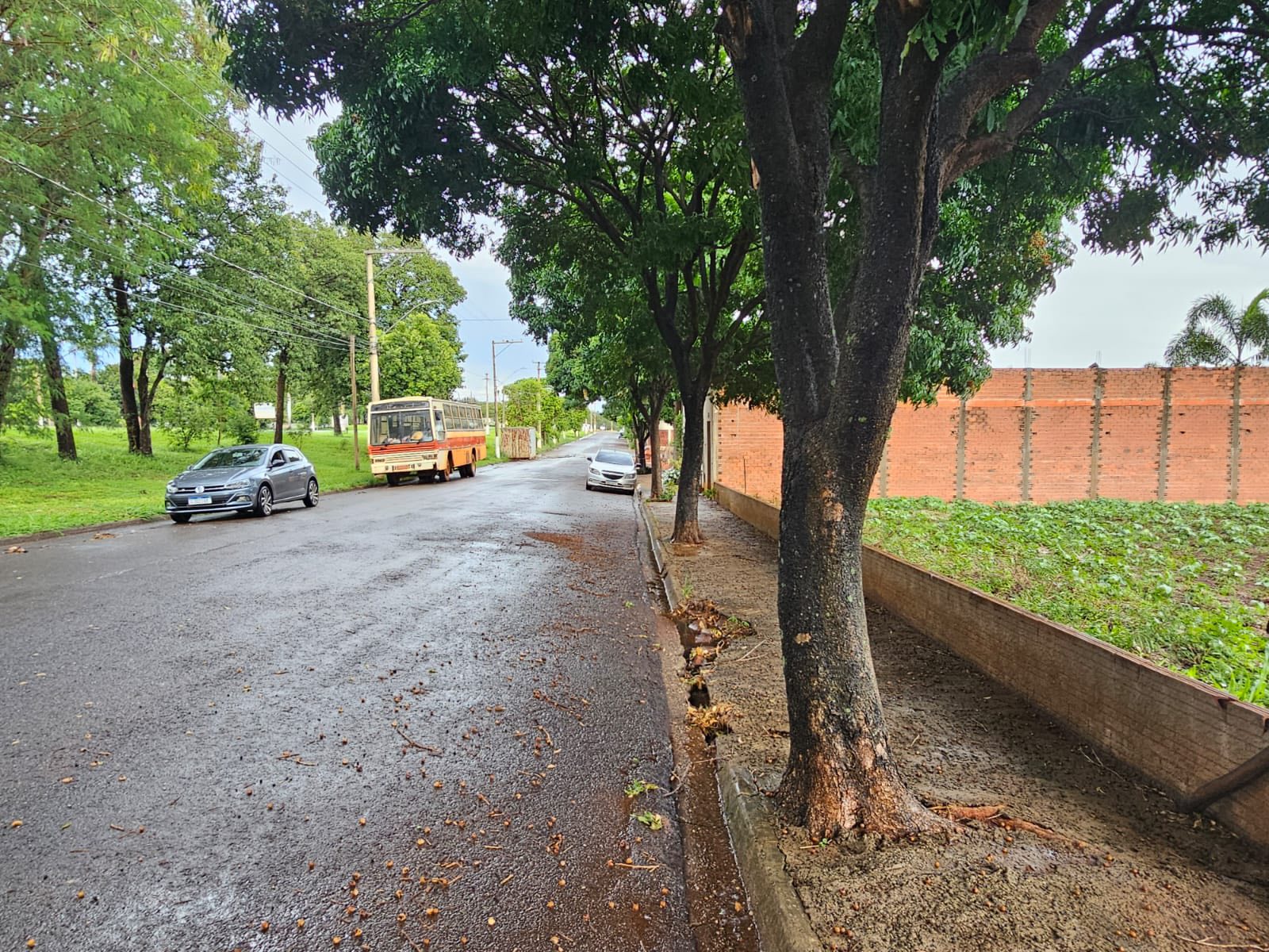 Terreno Rua Mario Lunardi, n331, Lote07 da quadra D- Centro Empresarial Mário Dedini Ometto