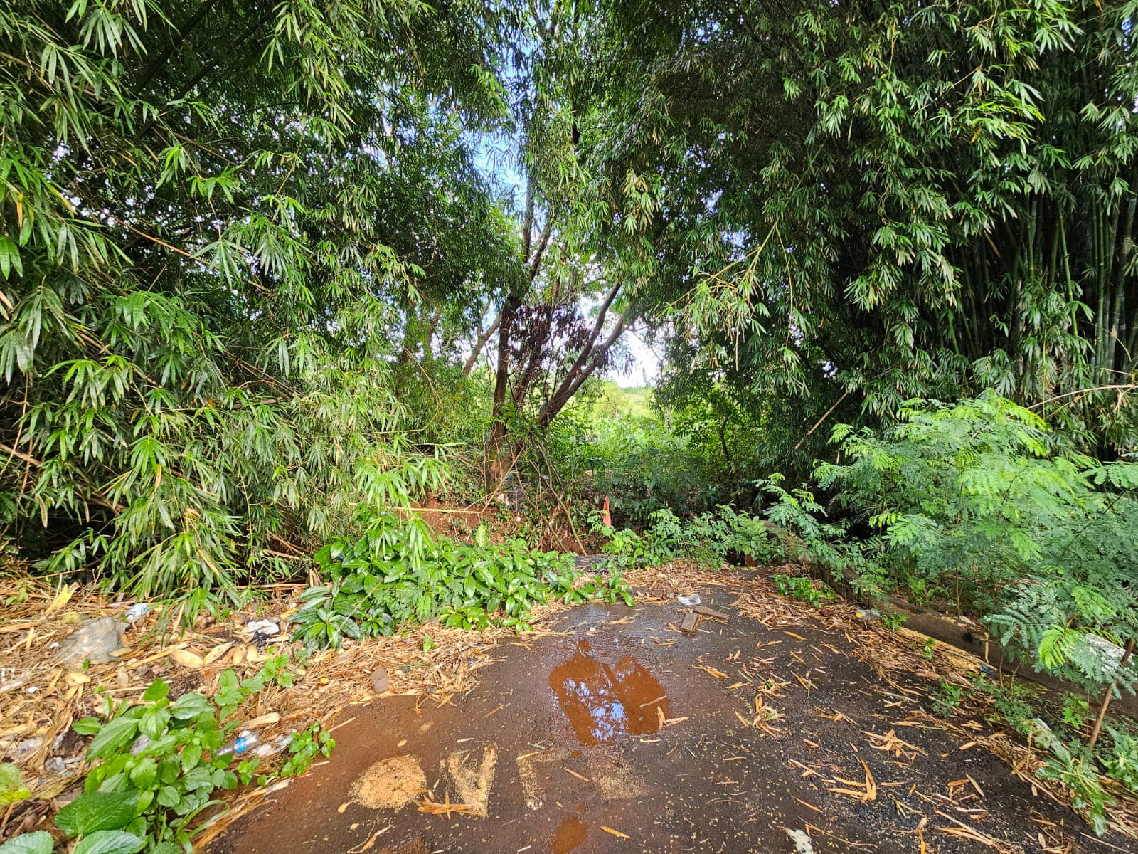 CHÁCARA SANTO ANTÔNIO, Rua Tenente Pinto , n 463- Centro