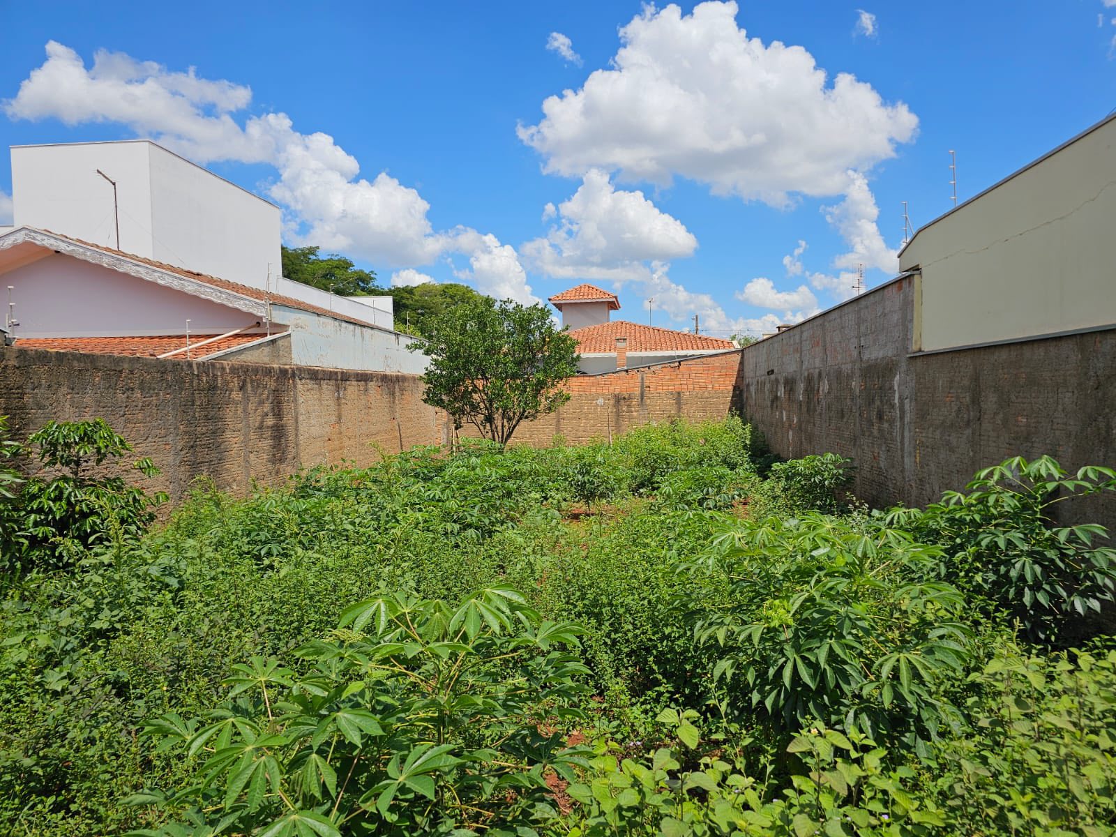 Terreno Rua Ernesto Scatolin, n 120, Lote 12 da quadra F, Jardim Santa Cecília