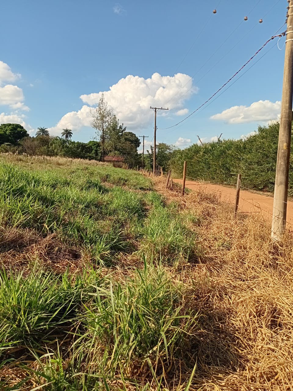 DOIS TERRENOS EM SÃO PEDRO DOS MORRINHOS