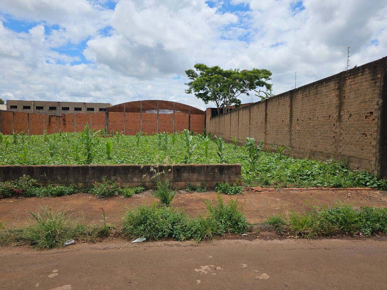 Terreno Rua Celio Lunardi , n151, Lote 22 da quadra B- Distrito Industrial. Pedro Valdomiro Pires Barbosa