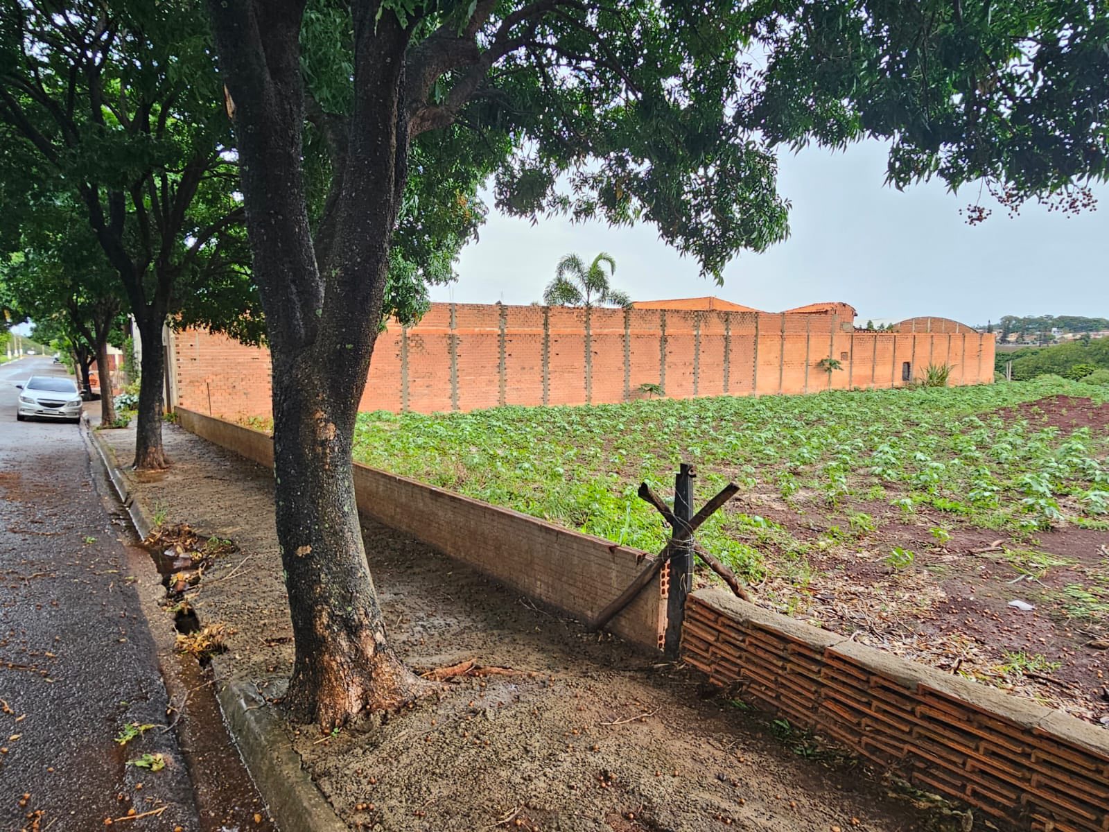 Terreno Rua Mario Lunardi, n331, Lote07 da quadra D- Centro Empresarial Mário Dedini Ometto