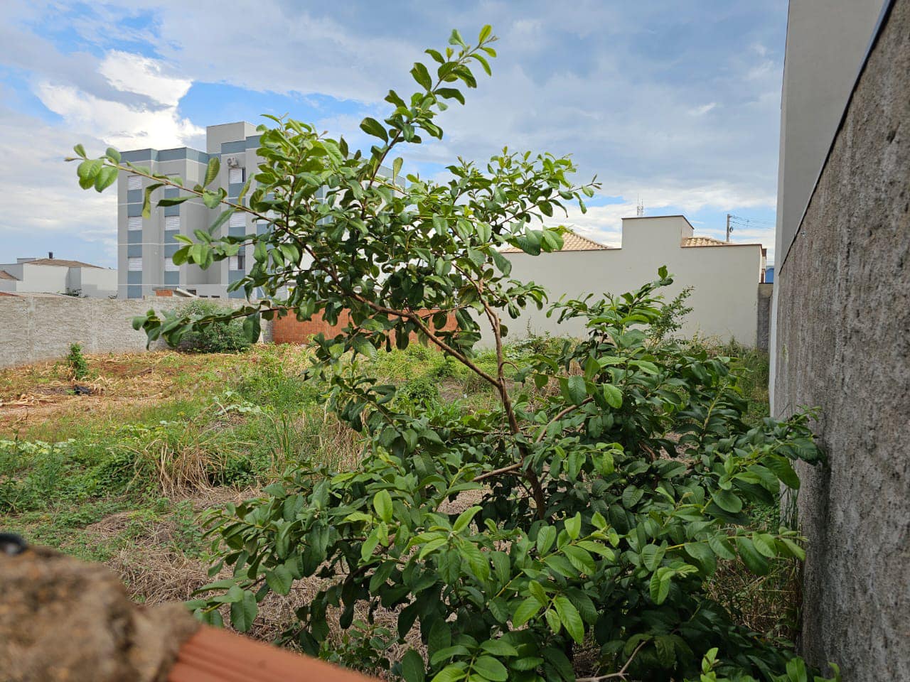 TERRENO EXCELENTE LOCALIZAÇÃO , Rua Dr Alcebíades, n728- Centro