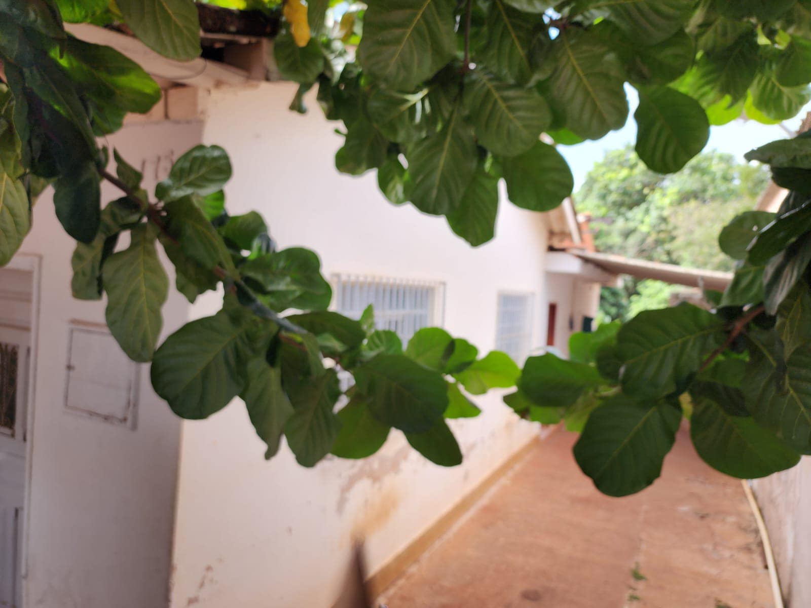 CHÁCARA COM DUAS CASAS RESIDENCIAL, Próximo ao batalhão da Polícia Militar ,Rua Rui Barbosa , n175-Centro