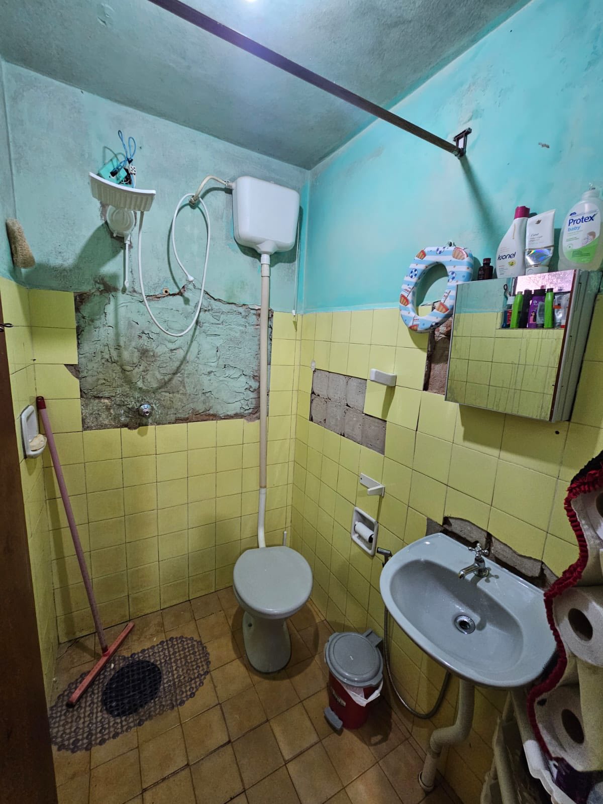 Duas Casas Rua Juliana, n201- Jardim São Carlos