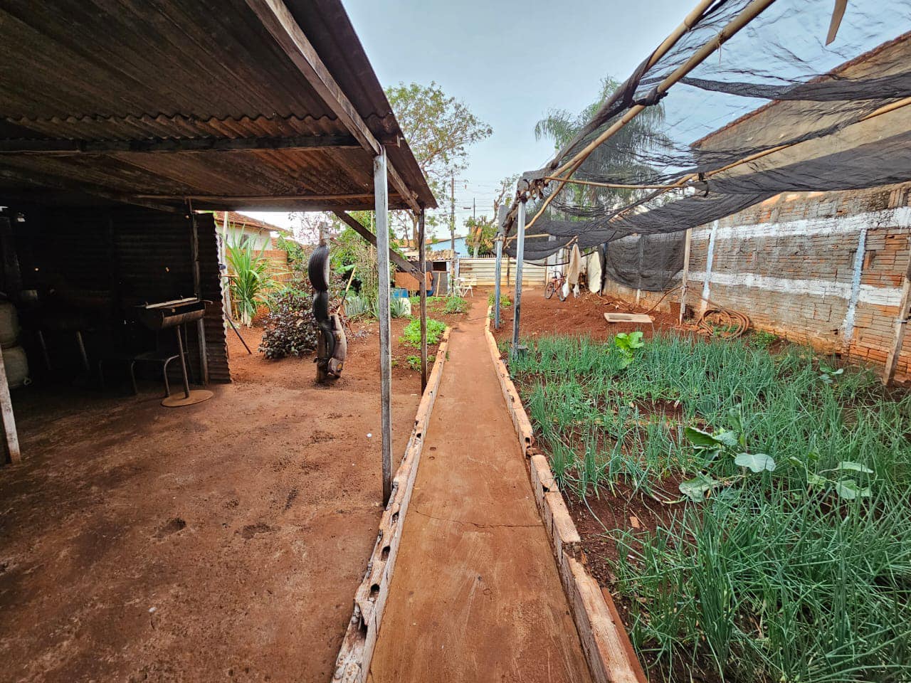 Casa Rua Antônio Cassiano, n205-Jardim das Palmeiras