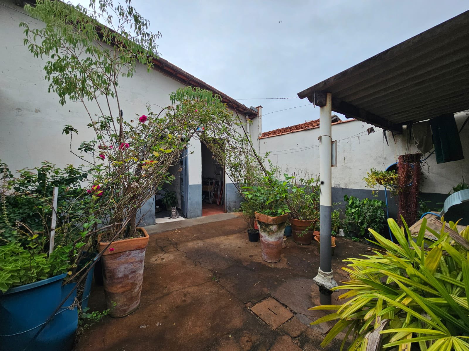 Duas Casas Rua Albino Schiavon, n 77-Conjunto Habitacional Ada Dedini Ometto