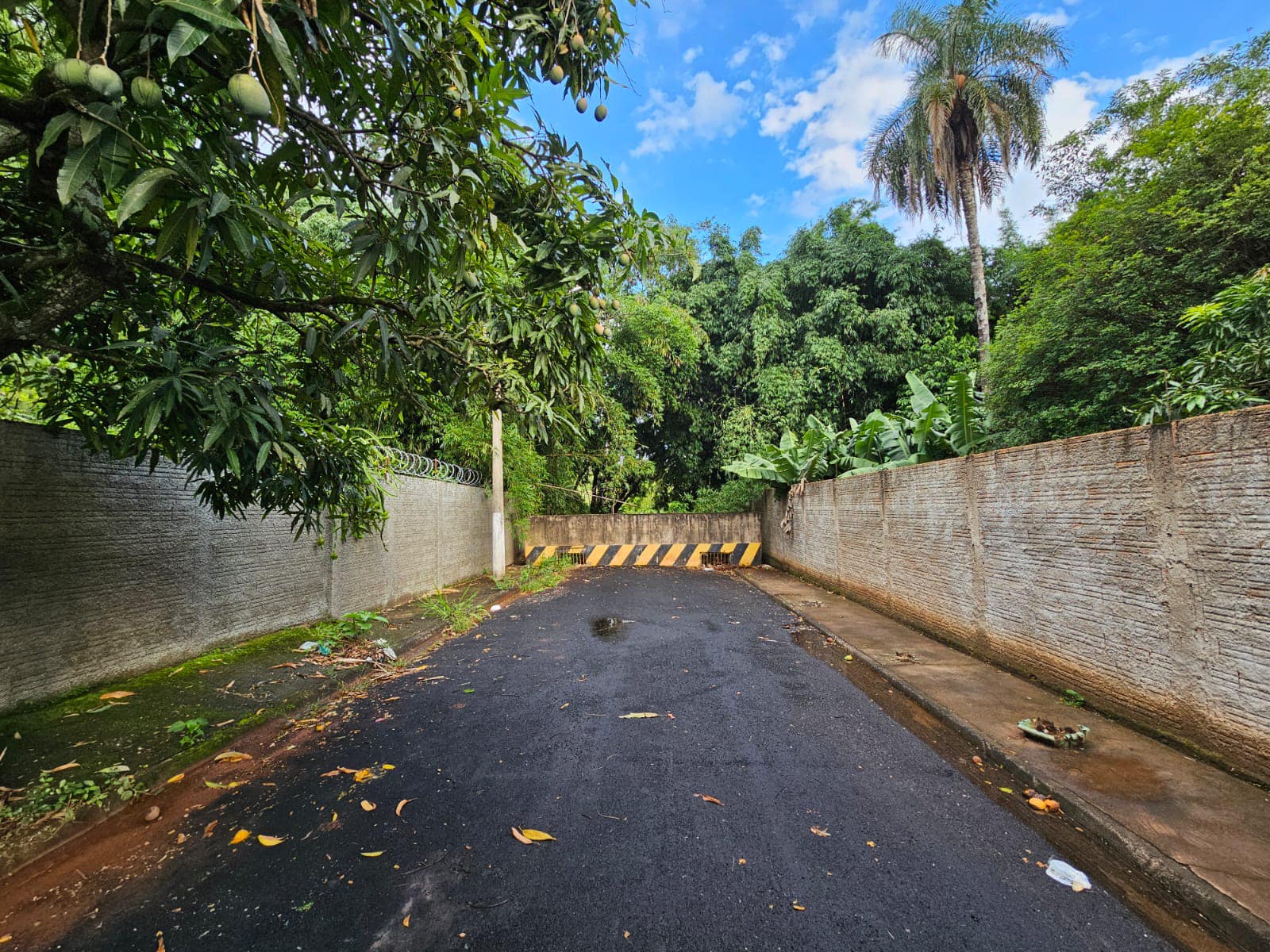 CHÁCARA SANTO ANTÔNIO, Rua Tenente Pinto , n 463- Centro