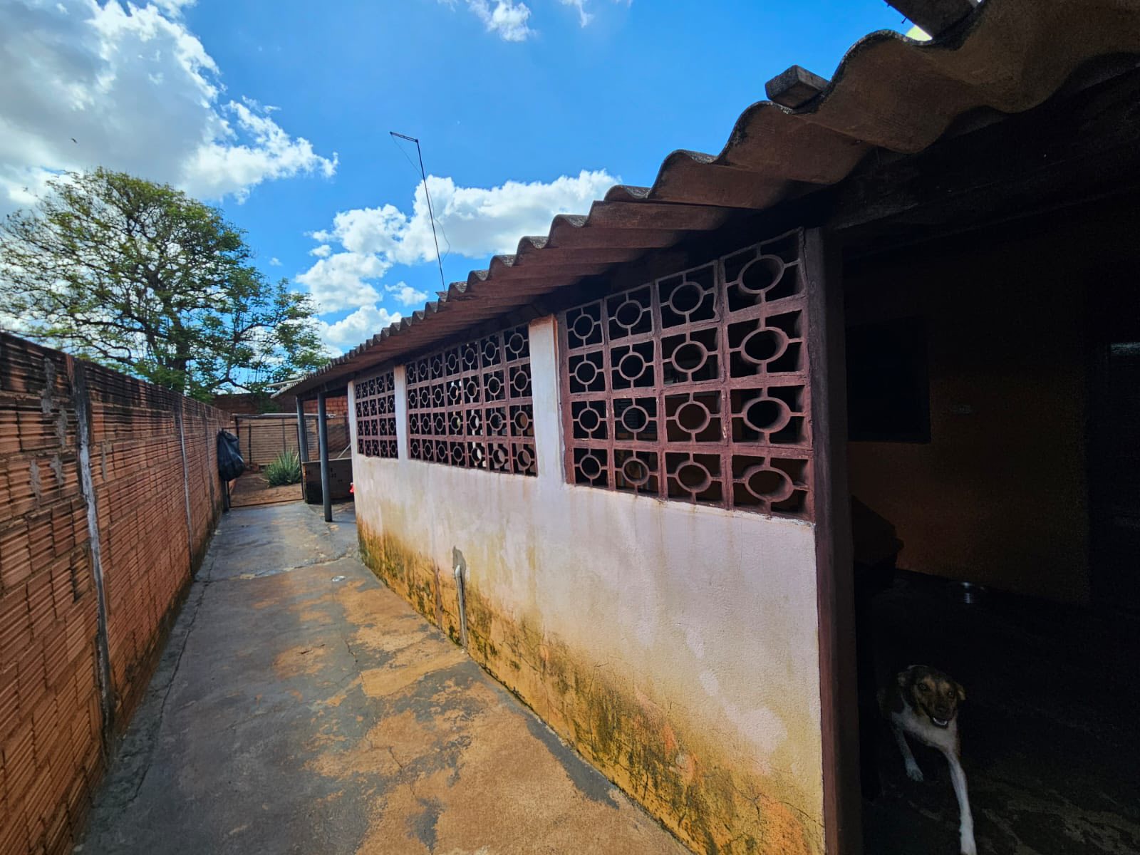 Casa na Avenida do Café, n 1020- Centro