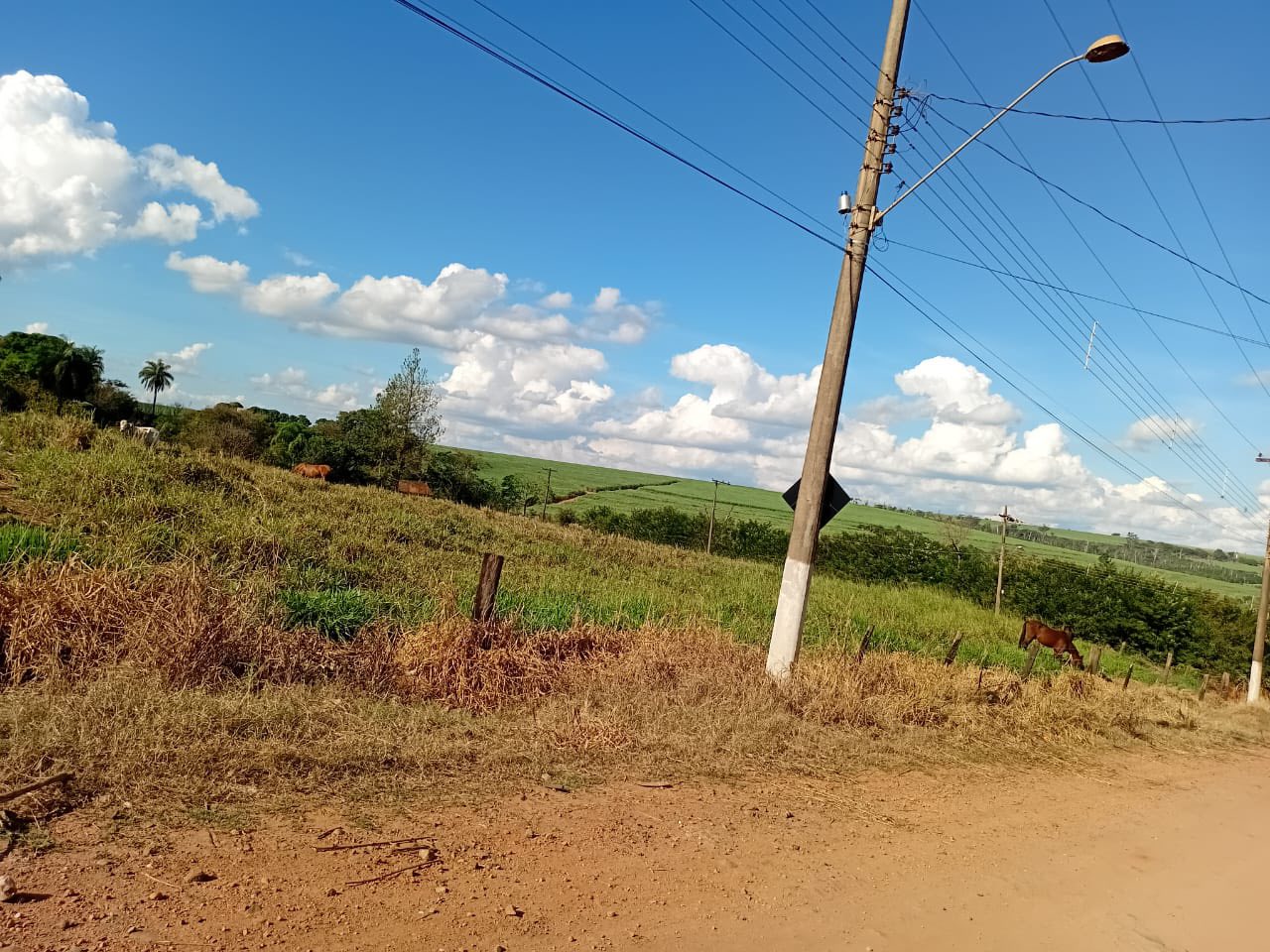 DOIS TERRENOS EM SÃO PEDRO DOS MORRINHOS