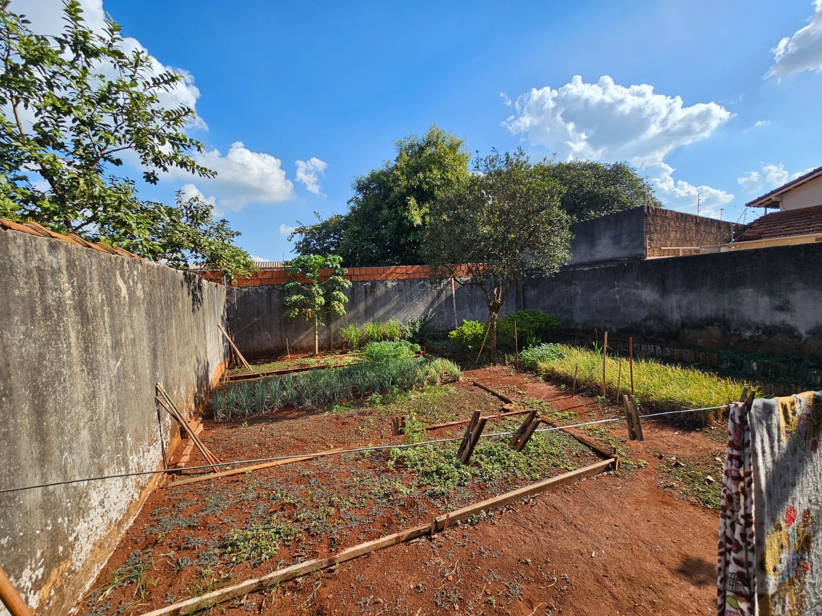 Casa na Rua Dr Brito Pereira ,n960- Jardim Brasil