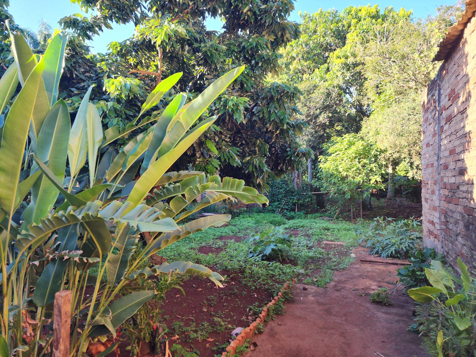 CHÁCARA COM DUAS CASAS RESIDENCIAL, Próximo ao batalhão da Polícia Militar ,Rua Rui Barbosa , n175-Centro