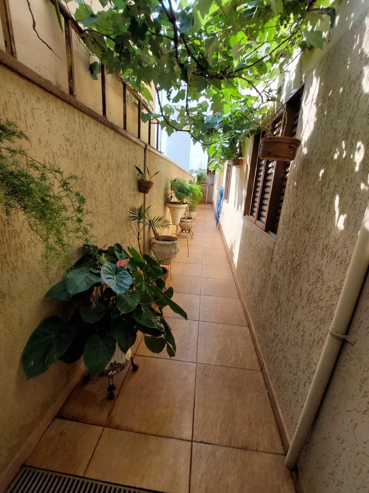 Casa Residencial / Comercio Rua Dr José Mendes da Silva , n 20- Conjunto Habitacional Ada Dedini Ometto